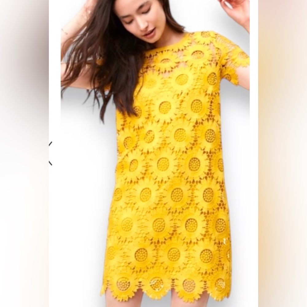 LOFT yellow sunflower lace dress